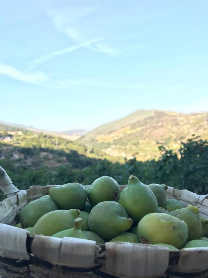 Private Douro- Quinta Das Susandas เมเซาฟริโอ ภายนอก รูปภาพ